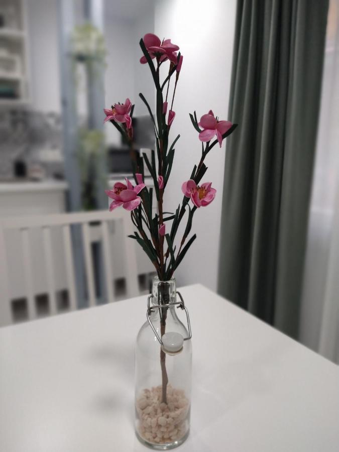 & Cool Apartment Torremolinos